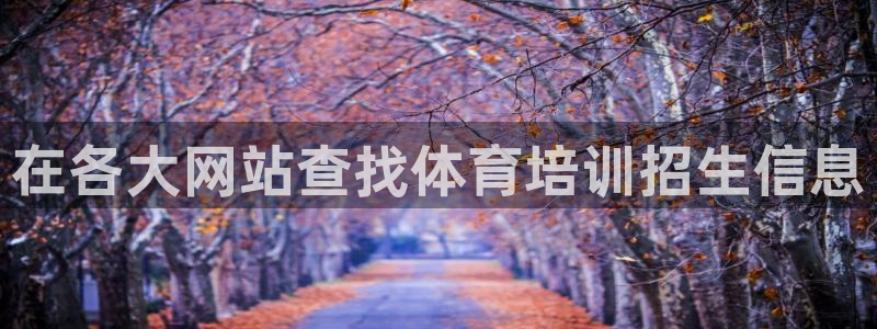 焦点娱乐游戏攻略：在各大网站查找体育培训招生信息