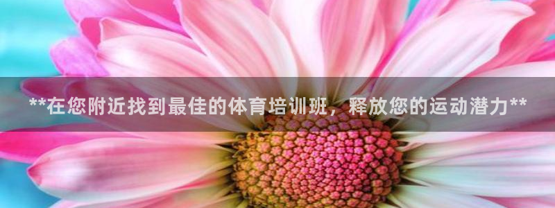 焦点娱乐平台：**在您附近找到最佳的体育培训班，释放