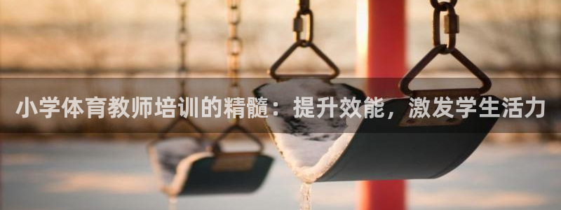 焦点娱乐星：小学体育教师培训的精髓：提升效能，激发学