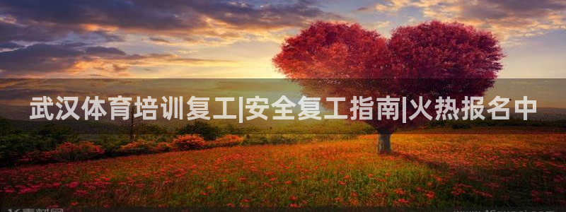 焦点娱乐游戏怎么玩视频：武汉体育培训复工|安全复工指