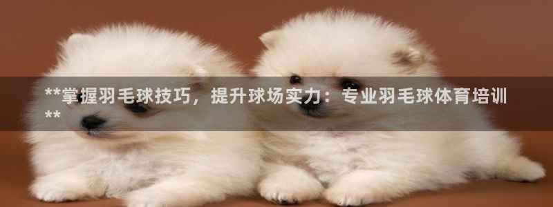 焦点娱乐官方网站下载安装苹果：**掌握羽毛球技巧，提