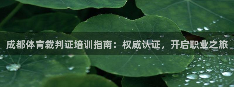 焦点娱乐开发商是谁：成都体育裁判证培训指南：权威认证
