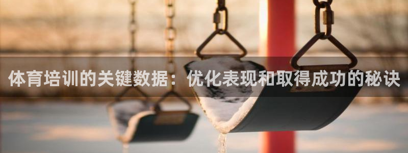 焦点娱乐官网首页入口网址：体育培训的关键数据：优化表