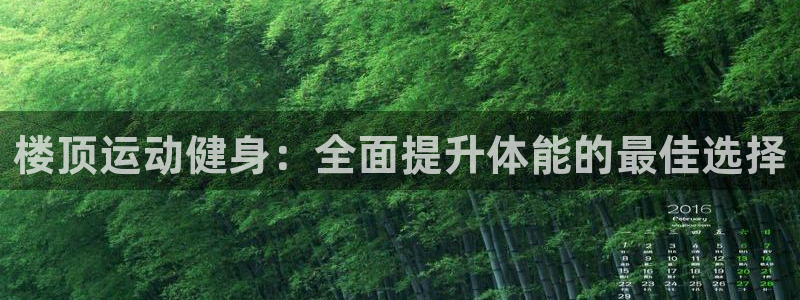 焦点娱乐游戏攻略大全：楼顶运动健身：全面提升体能的最