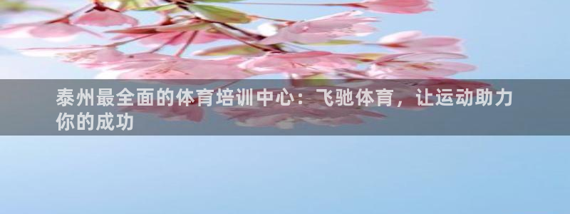 焦点娱乐加速器下载：泰州最全面的体育培训中心：飞驰体