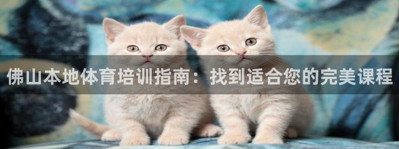 焦点娱乐什么意思：佛山本地体育培训指南：找到适合您的