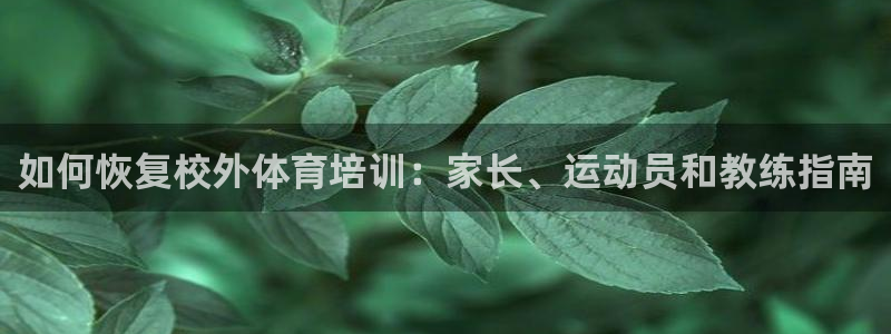 焦点娱乐公司的发展历程简述：如何恢复校外体育培训：家