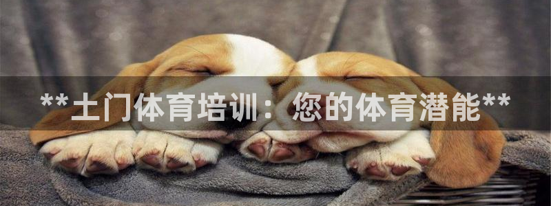 焦点娱乐app下载官网最新版本：**土门体育培训：您