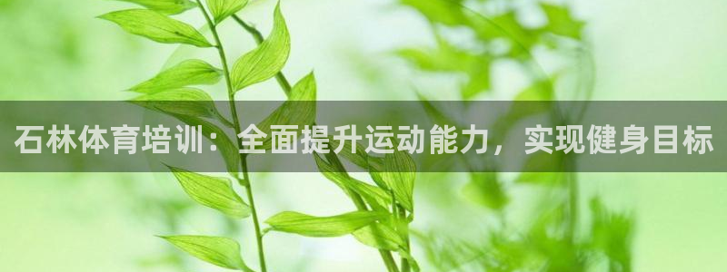 焦点娱乐app下载安装方式：石林体育培训：全面提升运动能力，