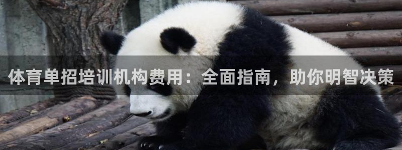 焦点娱乐简七O935最新版本更新内容：体育单招培训机