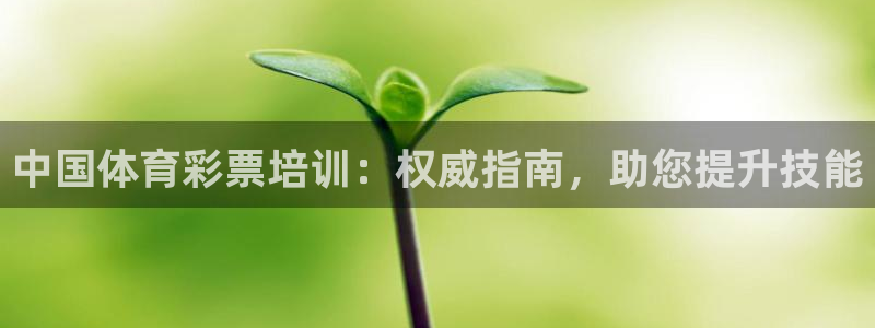 焦点娱乐平台注册账号安全吗是真的吗：中国体育彩票培训：权威指