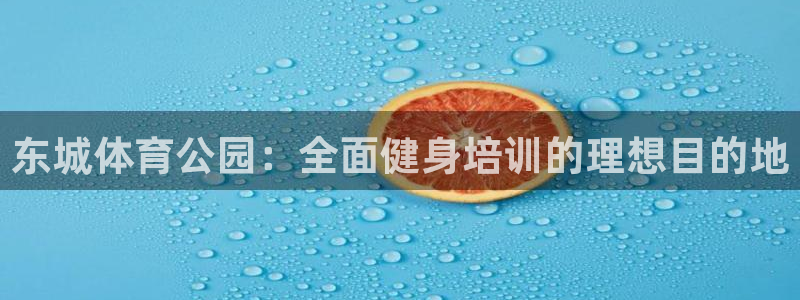 焦点娱乐加速器下载：东城体育公园：全面健身培训的理想