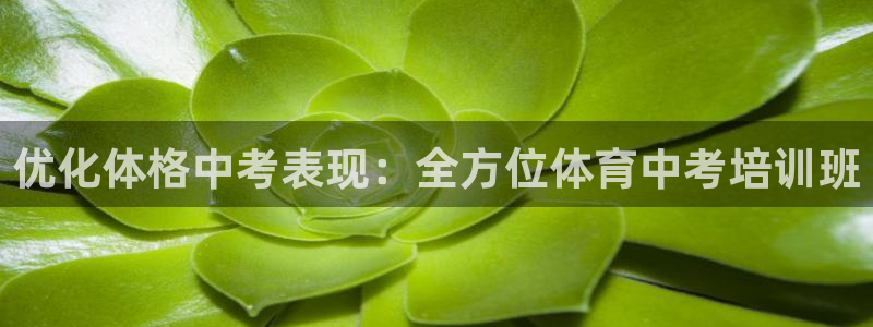 焦点娱乐加速器：优化体格中考表现：全方位体育中考培训