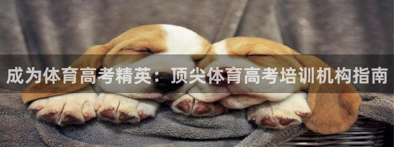 焦点娱乐官方网站下载安装最新版：成为体育高考精英：顶