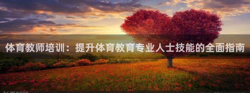 焦点娱乐官网下载安装苹果手机：体育教师培训：提升体育