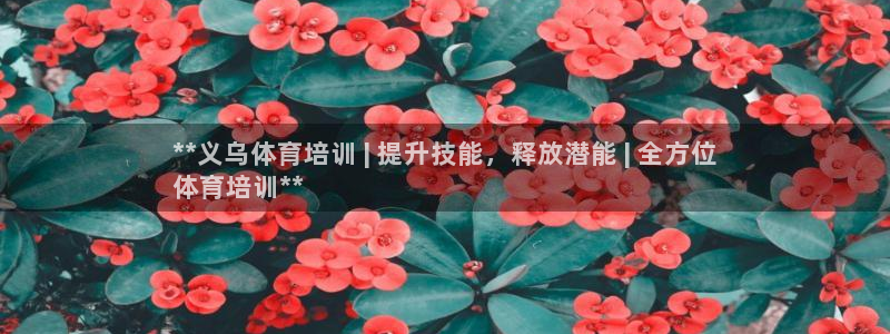 焦点娱乐平台账号在哪注册的：**义乌体育培训 | 提