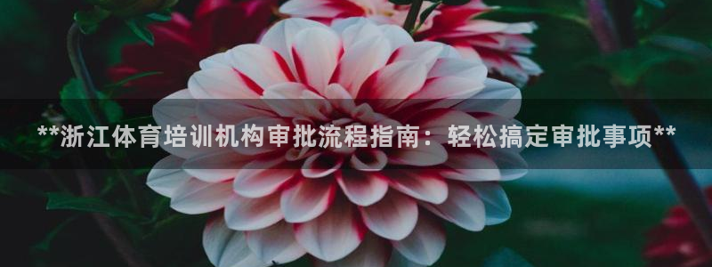 焦点娱乐怎么找不到了：**浙江体育培训机构审批流程指