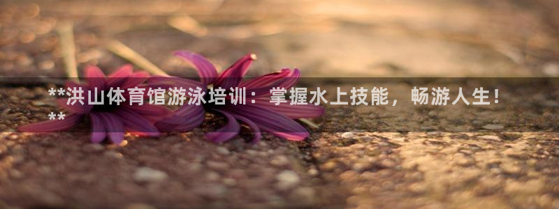 焦点娱乐议 411o31 娱乐