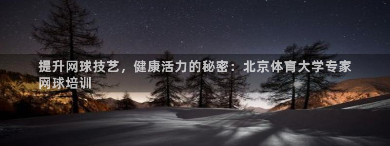 焦点娱乐官网：提升网球技艺，健康活力的秘密：北京体育