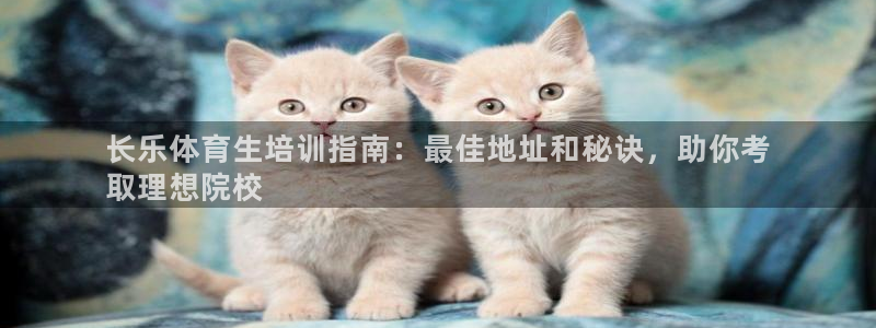 焦点娱乐网站下载地址大全：长乐体育生培训指南：最佳地