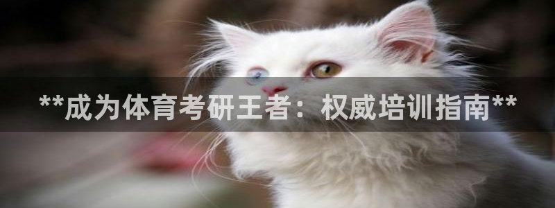 焦点娱乐挂机：**成为体育考研王者：权威培训指南**
