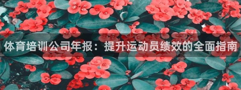 焦点娱乐平台客服电话号码查询：体育培训公司年报：提升