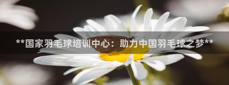 焦点娱乐app下载官网最新版苹果：**国家羽毛球培训