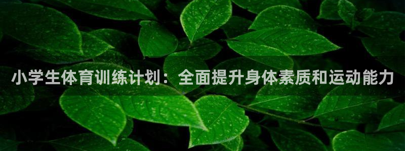 焦点娱乐门徒娱乐骗局揭秘：小学生体育训练计划：全面提