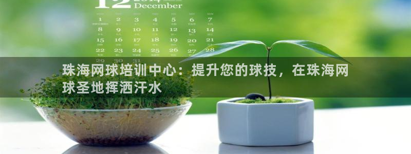 焦点娱乐有限公司官网：珠海网球培训中心：提升您的球技