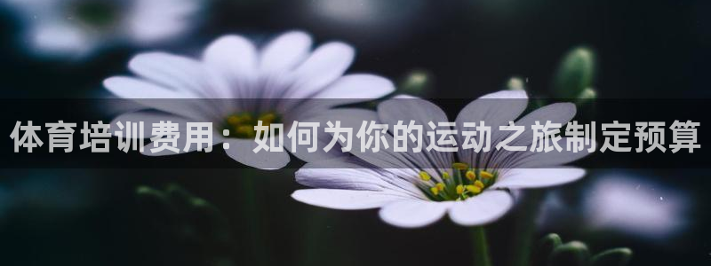 焦点娱乐软件版本下载：体育培训费用：如何为你的运动之