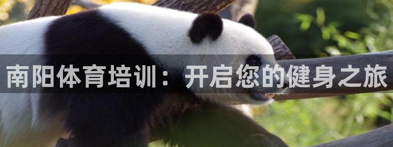 焦点娱乐app下载官网最新版：南阳体育培训：开启您的