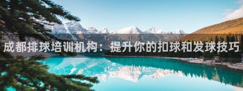 焦点娱乐平台例7O777：成都排球培训机构：提升你的
