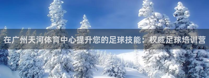 焦点娱乐：在广州天河体育中心提升您的足球技能：权威足