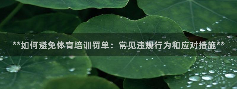 焦点娱乐违法吗：**如何避免体育培训罚单：常见违规行