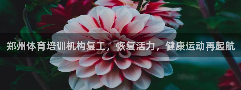 焦点娱乐app下载官网苹果版：郑州体育培训机构复工，