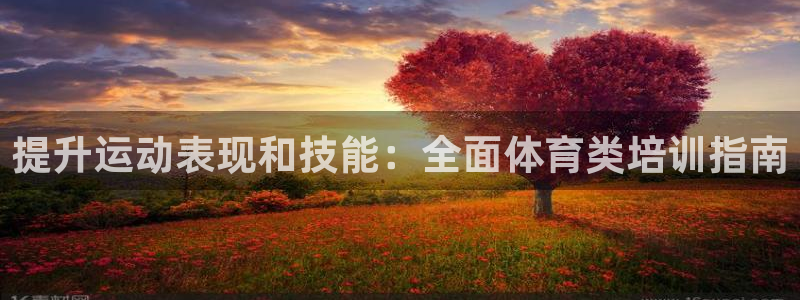 焦点娱乐力 411o31 焦点：提升运动表现和技能：