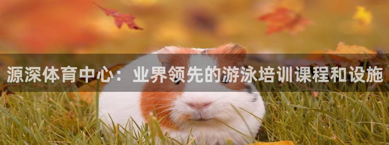焦点娱乐门徒娱乐骗局：源深体育中心：业界领先的游泳培训课程和