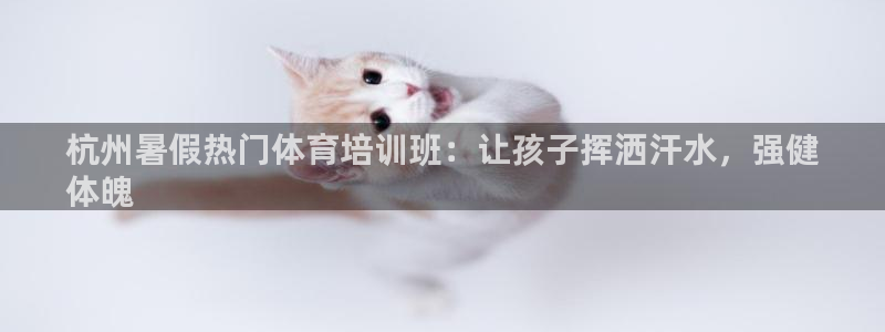 焦点娱乐待遇：杭州暑假热门体育培训班：让孩子挥洒汗水