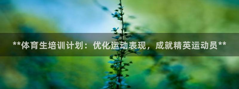 焦点娱乐平台账号在哪注册：**体育生培训计划：优化运