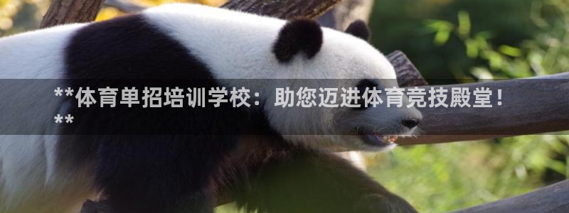 焦点娱乐官网：**体育单招培训学校：助您迈进体育竞技