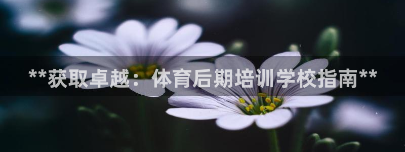 焦点娱乐传媒有限公司怎么样呀：**获取卓越：体育后期