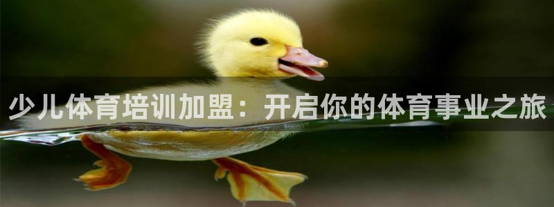 焦点娱乐app下载苹果版官网：少儿体育培训加盟：开启