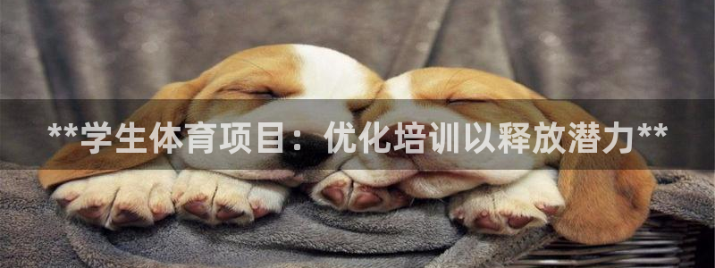 焦点娱乐股东持股比例：**学生体育项目：优化培训以释