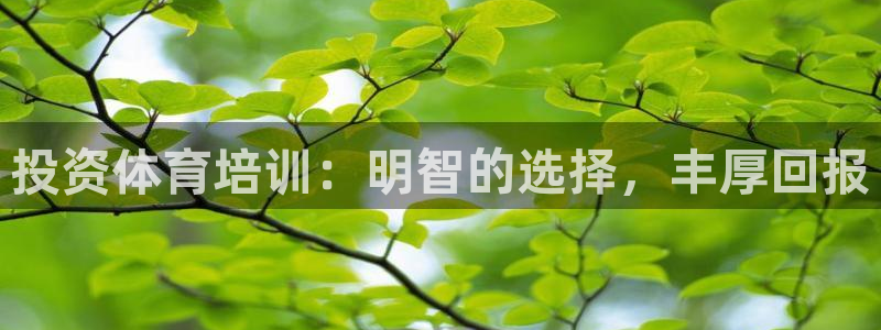 焦点娱乐官网下载安装手机版：投资体育培训：明智的选择