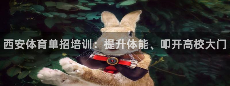 焦点娱乐公司简介资料：西安体育单招培训：提升体能、叩