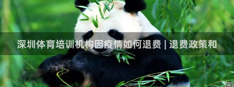 焦点娱乐带你走遍：深圳体育培训机构因疫情如何退费 |