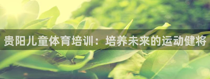 焦点娱乐拉菲11：贵阳儿童体育培训：培养未来的运动健