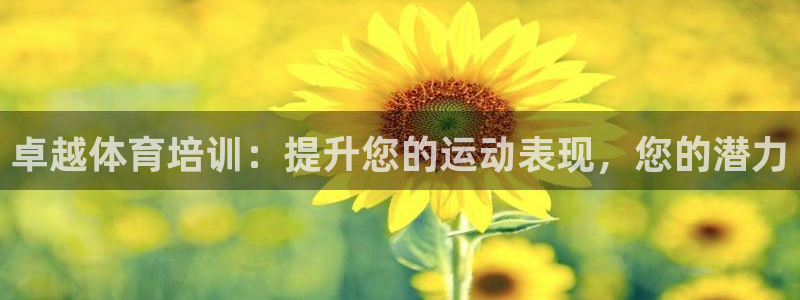 焦点娱乐游戏怎么玩教程：卓越体育培训：提升您的运动表