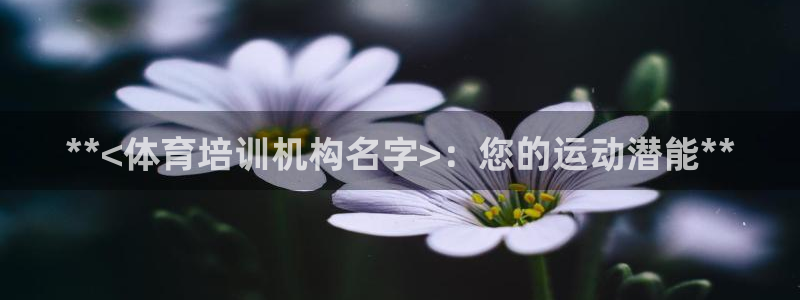 焦点娱乐下载手机版安装：**<体育培训机构名字>：您