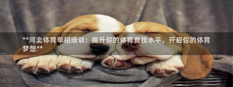 焦点娱乐游戏攻略视频：**河北体育单招培训：提升你的